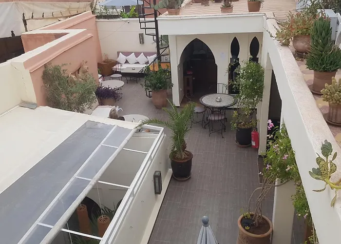 Riad Safina