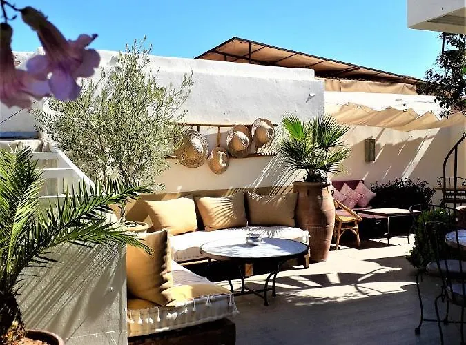 Riad Safina
